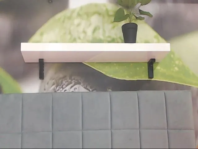 Live sex webcam photo for MilaNight #255105712