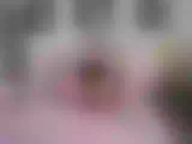 Live sex webcam photo for Mokkoann #256981440
