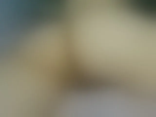 Live sex webcam photo for EvaKill #250103946