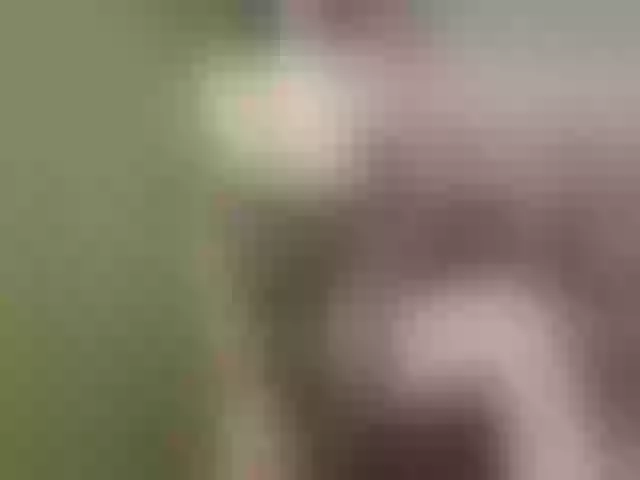 Live sex webcam photo for Evelynevi #252975357