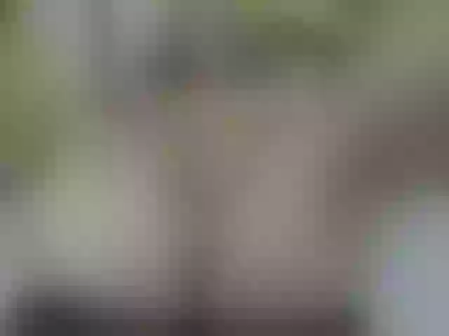 Live sex webcam photo for Mssbombom_ #259788973