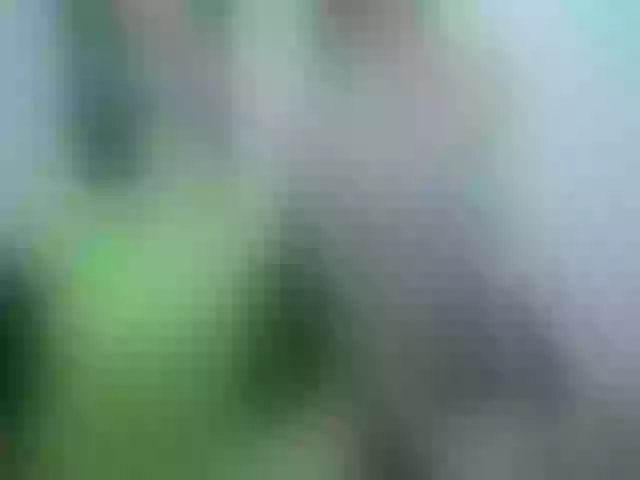 Live sex webcam photo for Anttonella_2 #254374004
