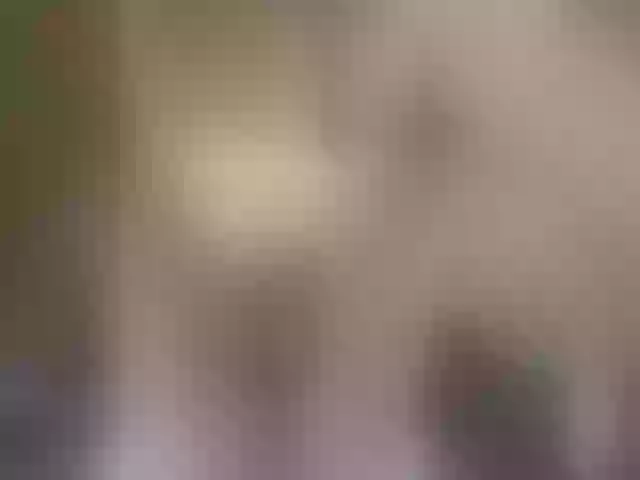 Live sex webcam photo for Miia_cox #264274991