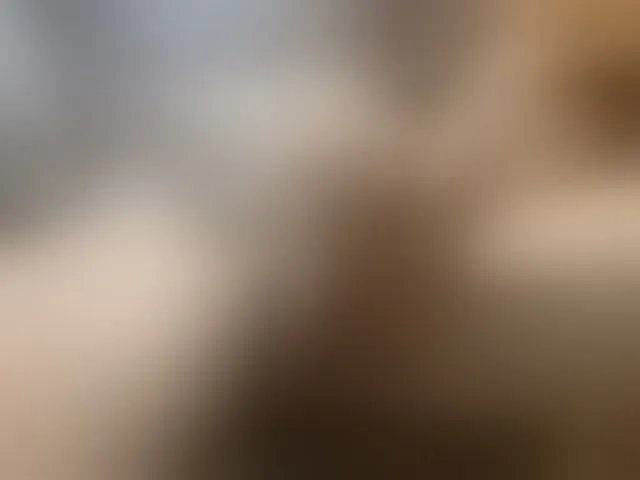 Live sex webcam photo for fox-seks #249705122