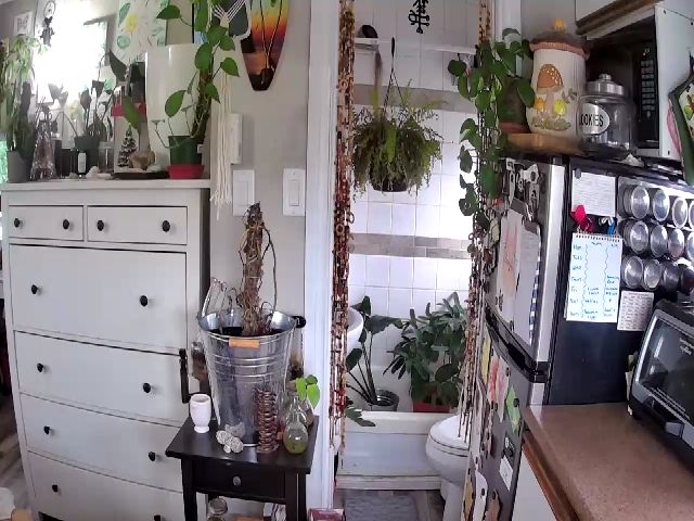 Live sex webcam photo for Sexylexi211 #260721270