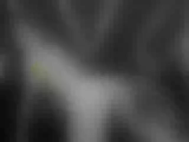 Live sex webcam photo for AliciaKennet #256546474