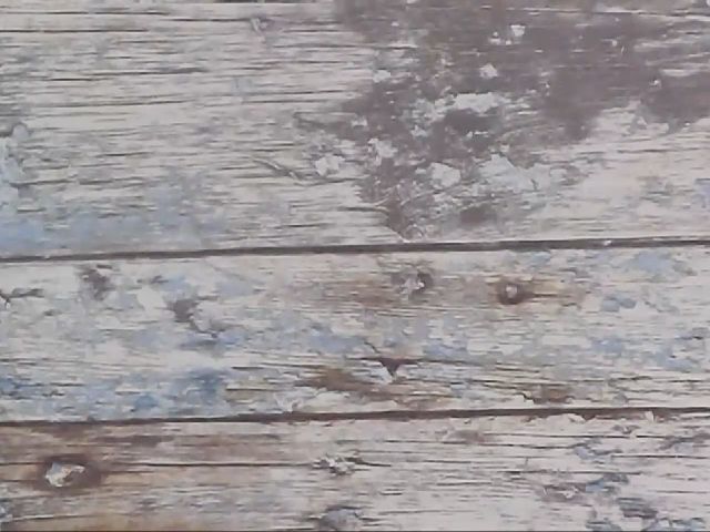 Live sex webcam photo for SensualCrissa #258500483