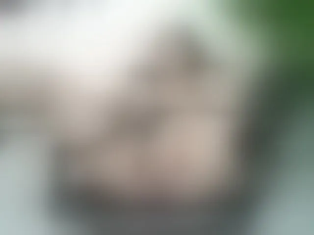Live sex webcam photo for IngritBitch #241429150