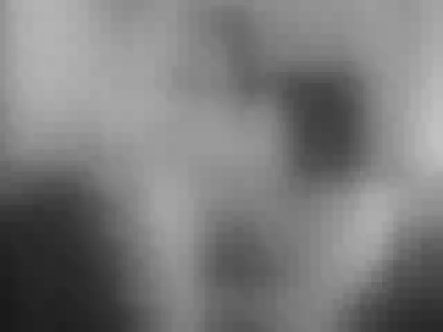 Live sex webcam photo for girasol-walto #241275587