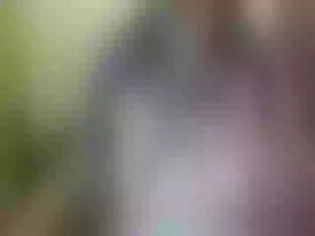 Live sex webcam photo for xxx_butterfly #263343487