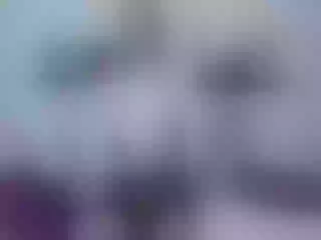 Live sex webcam photo for Real_miracle #259131323