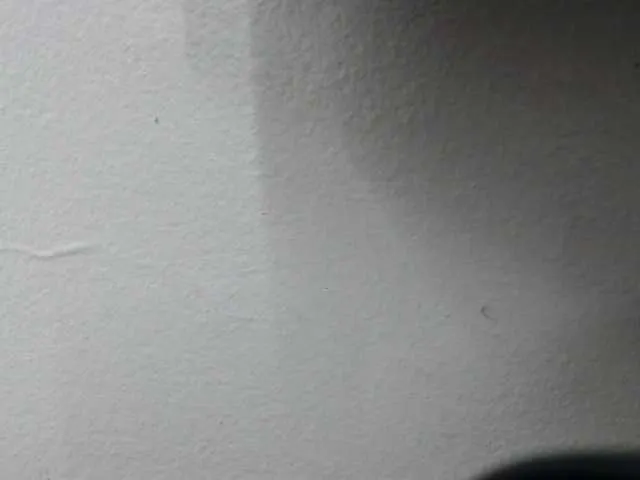Live sex webcam photo for CrazzyJenna #251702321