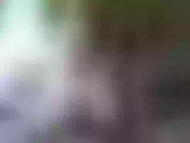 Live sex webcam photo for cozychristine #256511334
