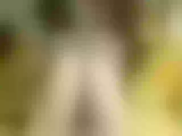 Live sex webcam photo for Luiziana111 #251029702