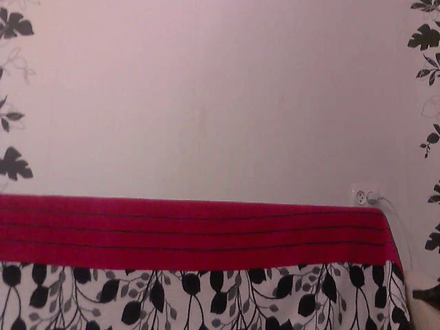 Live sex webcam photo for CherryTina_ #260146135