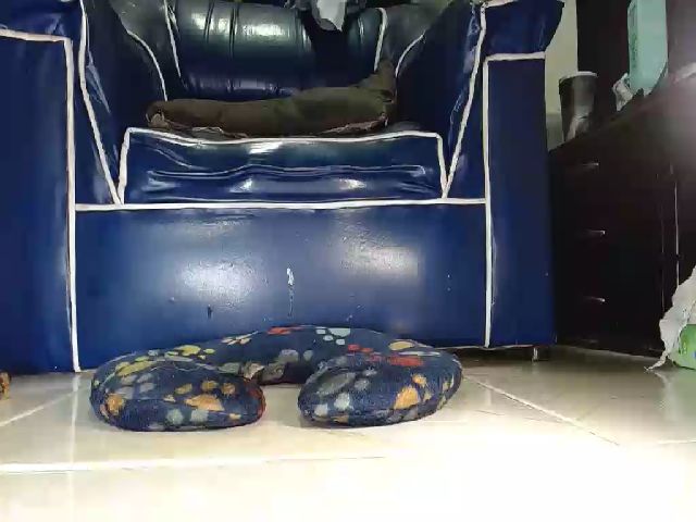 Live sex webcam photo for Alexia_Bonet #255214106