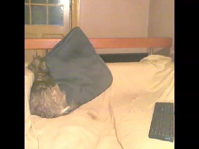 Live sex webcam photo for Lili_Mari69 #255101834