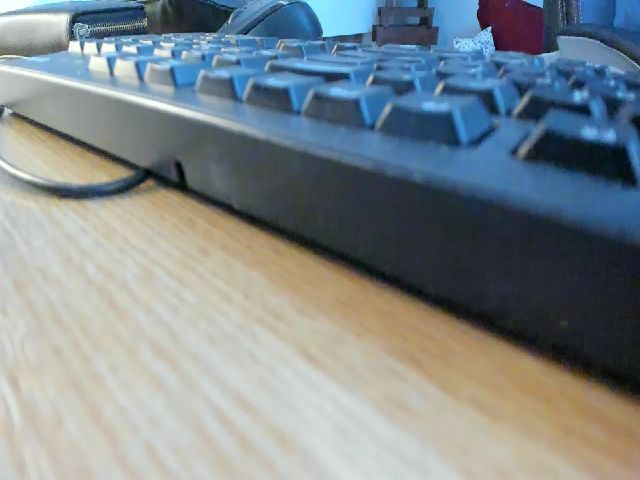 Live sex webcam photo for LizzieBrie #254453381