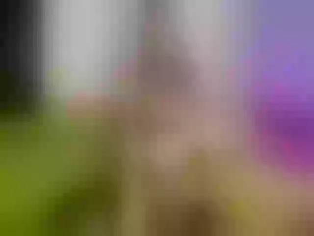 Live sex webcam photo for Atlanna #262294479