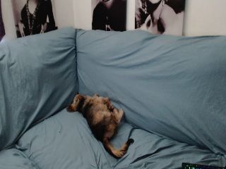 Live sex webcam photo for Kylie_Mcfly #251960792