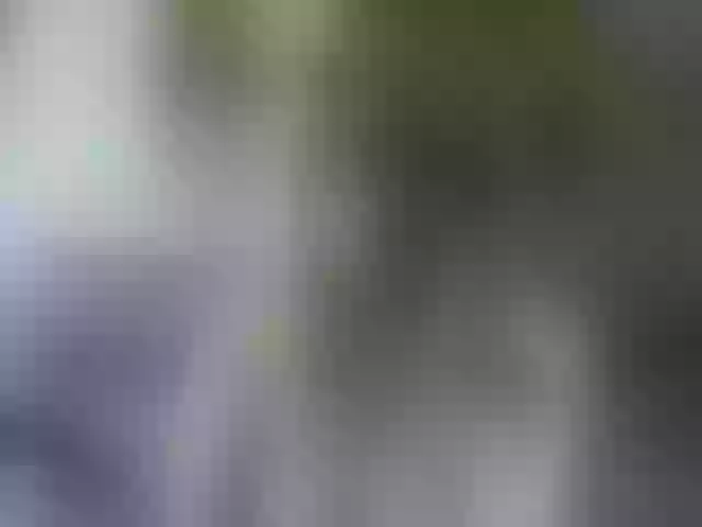 Live sex webcam photo for cozychristine #256293836