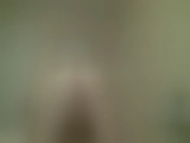 Live sex webcam photo for Tiffanylee1 #254768840
