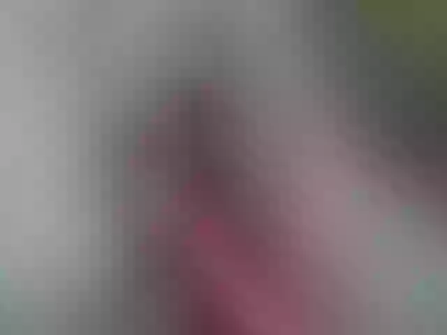 Live sex webcam photo for pevicha #241181498