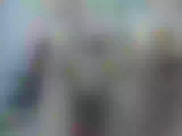 Live sex webcam photo for Mssburbuja #261844025