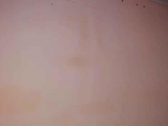 Live sex webcam photo for SweetPulse #257892731