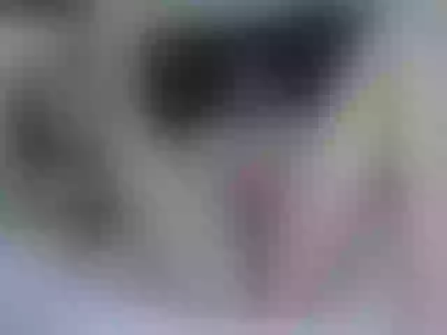Live sex webcam photo for vick_harris #261021462