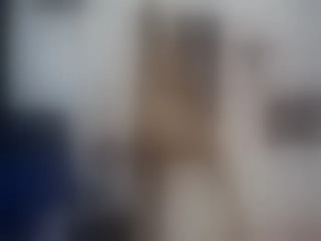 Live sex webcam photo for IndianMama #254477394