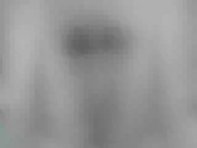 Live sex webcam photo for Mssburbuja #254436122