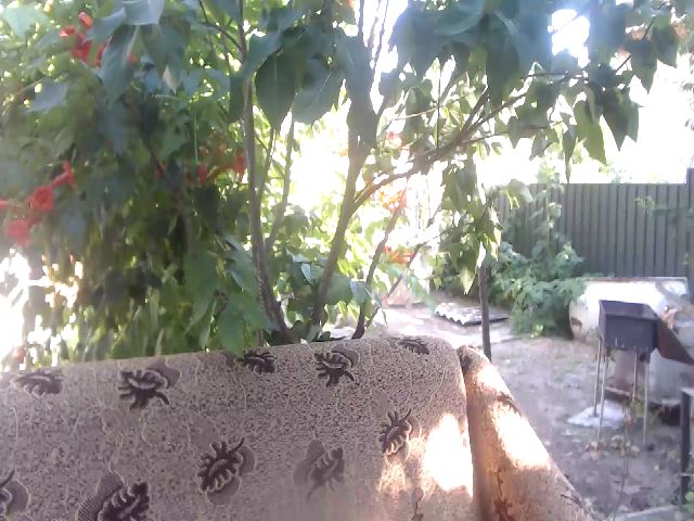 Live sex webcam photo for BeankaV #252524848