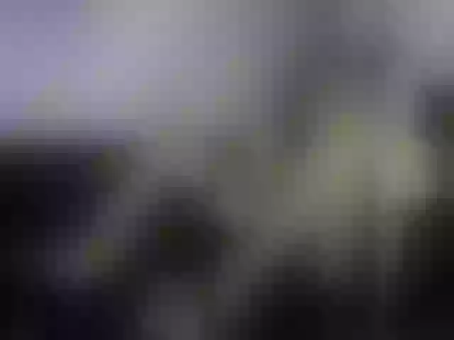Live sex webcam photo for MyyDream #254593383