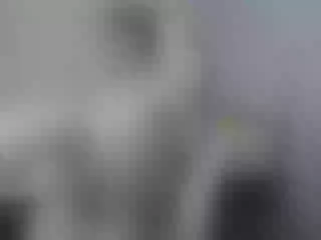 Live sex webcam photo for MomKsenia #241056674