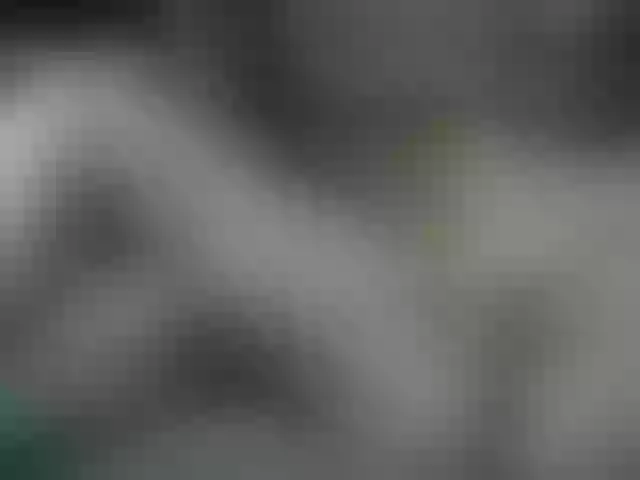 Live sex webcam photo for REPTILIAY #241313903