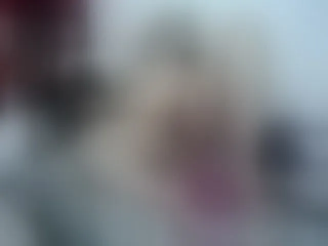 Live sex webcam photo for Brenda_becker #253186066