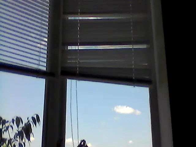 Live sex webcam photo for HotMakadamia #253375313