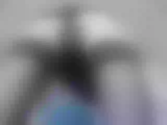 Live sex webcam photo for millagrass #258606467