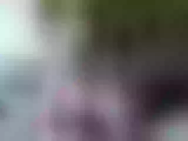Live sex webcam photo for cozychristine #257146925