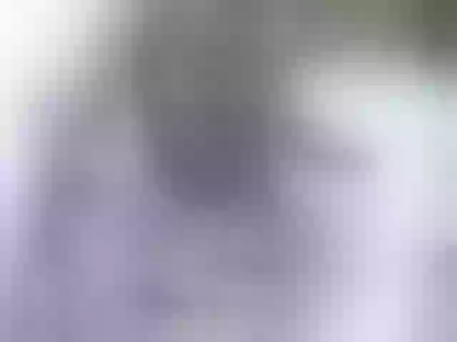 Live sex webcam photo for Siberia-Taiga #287988960