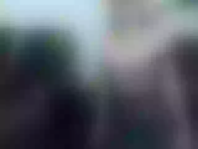 Live sex webcam photo for AliciaKennet #241277446
