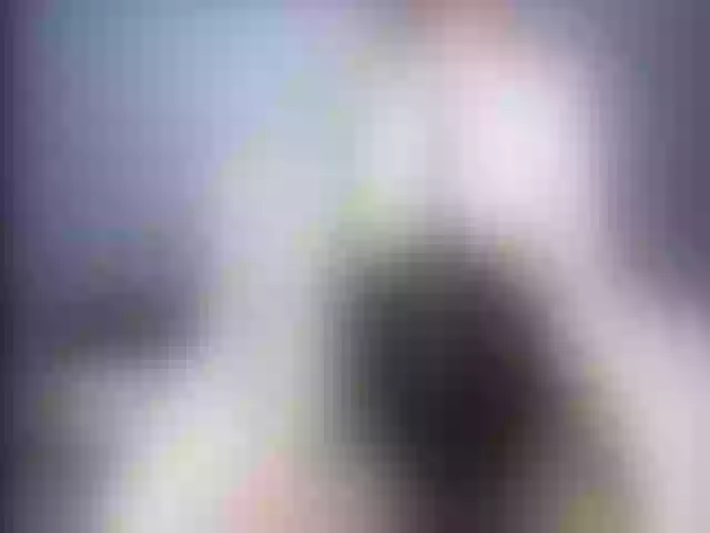 Live sex webcam photo for Ellaquality #252469196