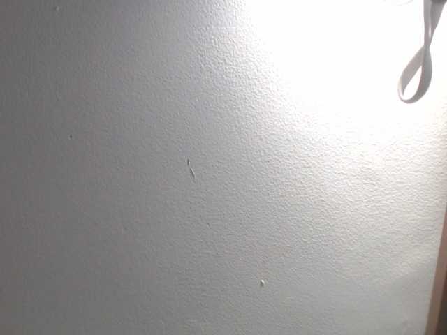 Live sex webcam photo for Gaticasquirt #242772065