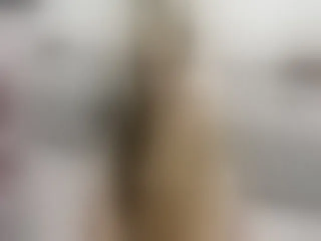 Live sex webcam photo for Msstrixxie #254501281