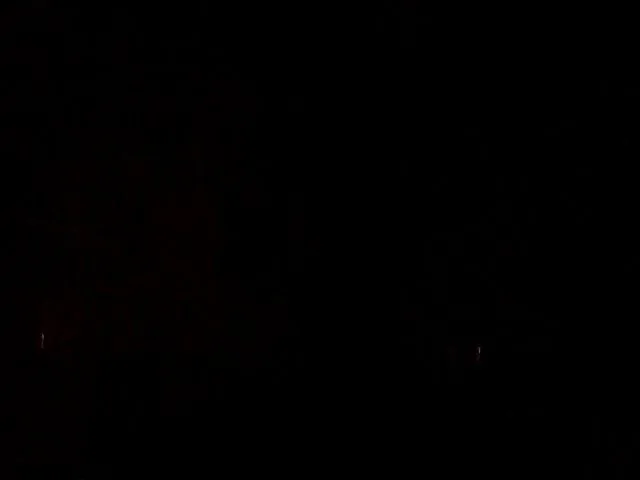 Live sex webcam photo for JolyBoss #254561852