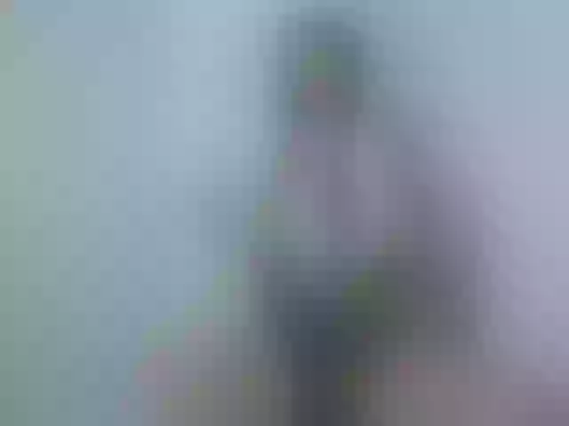 Live sex webcam photo for dreamyriri #254574147