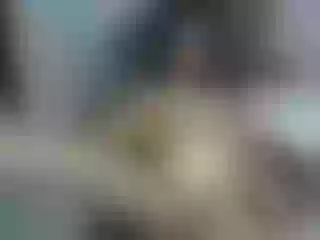 Live sex webcam photo for Paulett #240641699