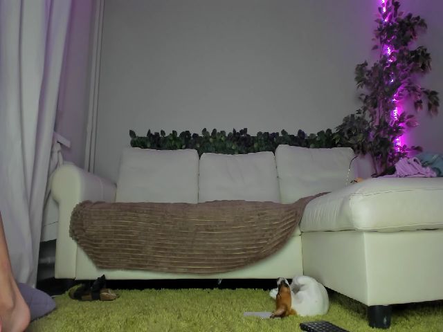 Live sex webcam photo for Littlewetgirl #254211618