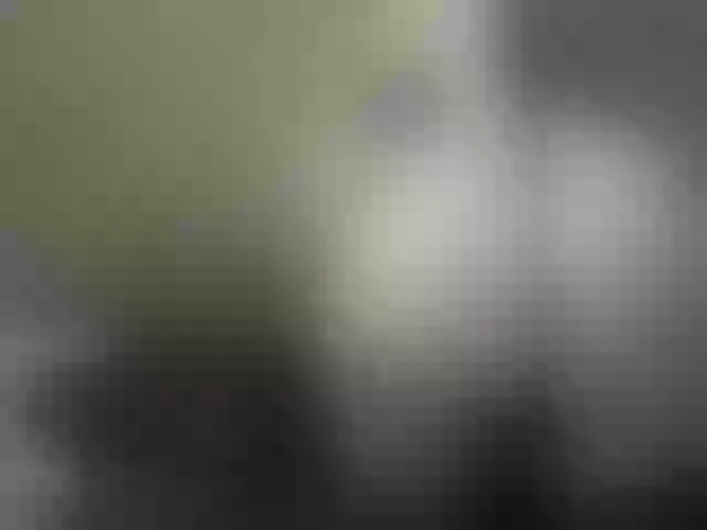 Live sex webcam photo for Elia-Asia #241679064